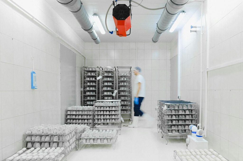 Cold storage room with racks of product under clean white light